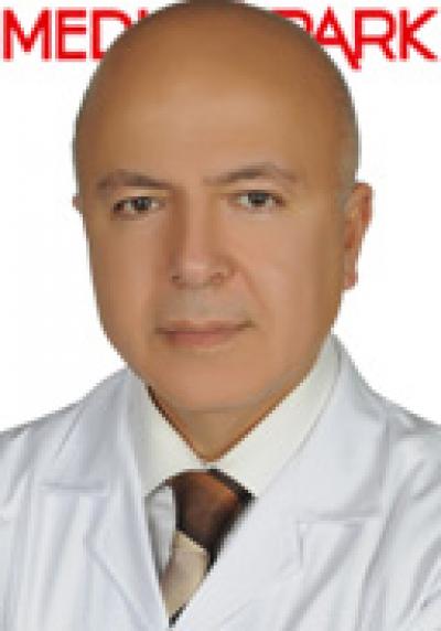 FEVZİ LÜTFİ BOZYİĞİT