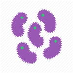 Alerji Hastalıkları (İç Hastalıkları)