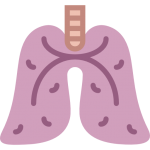 Göğüs Hastalıkları