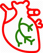 Kalp ve Damar Cerrahisi