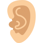 Kulak Burun Boğaz Hastalıkları (KBB)