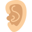  Kulak Burun Boğaz Hastalıkları (KBB)