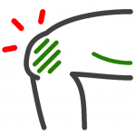 Ortopedi ve Travmatoloji