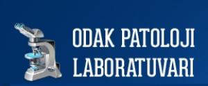  İstanbul Özel ODAK PATOLOJİ LABORATUVARI