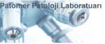 İstanbul Özel Patomer Patoloji Laboratuarı