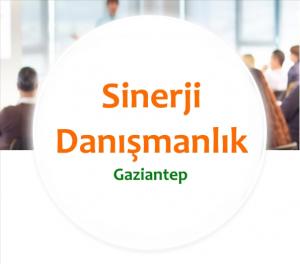  Sinerji Danışmanlık